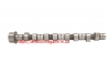 Распредвал (CM05-2106) FIAT (1.7D/1.9D 01.84-05.00) DUCATO, DUCATO PANORAMA, DUNA, FIORINO, REGATA, RITMO, TALENTO, TIPO, UNO FRECCIA