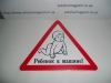 Наклейка "Ребенок в машине"